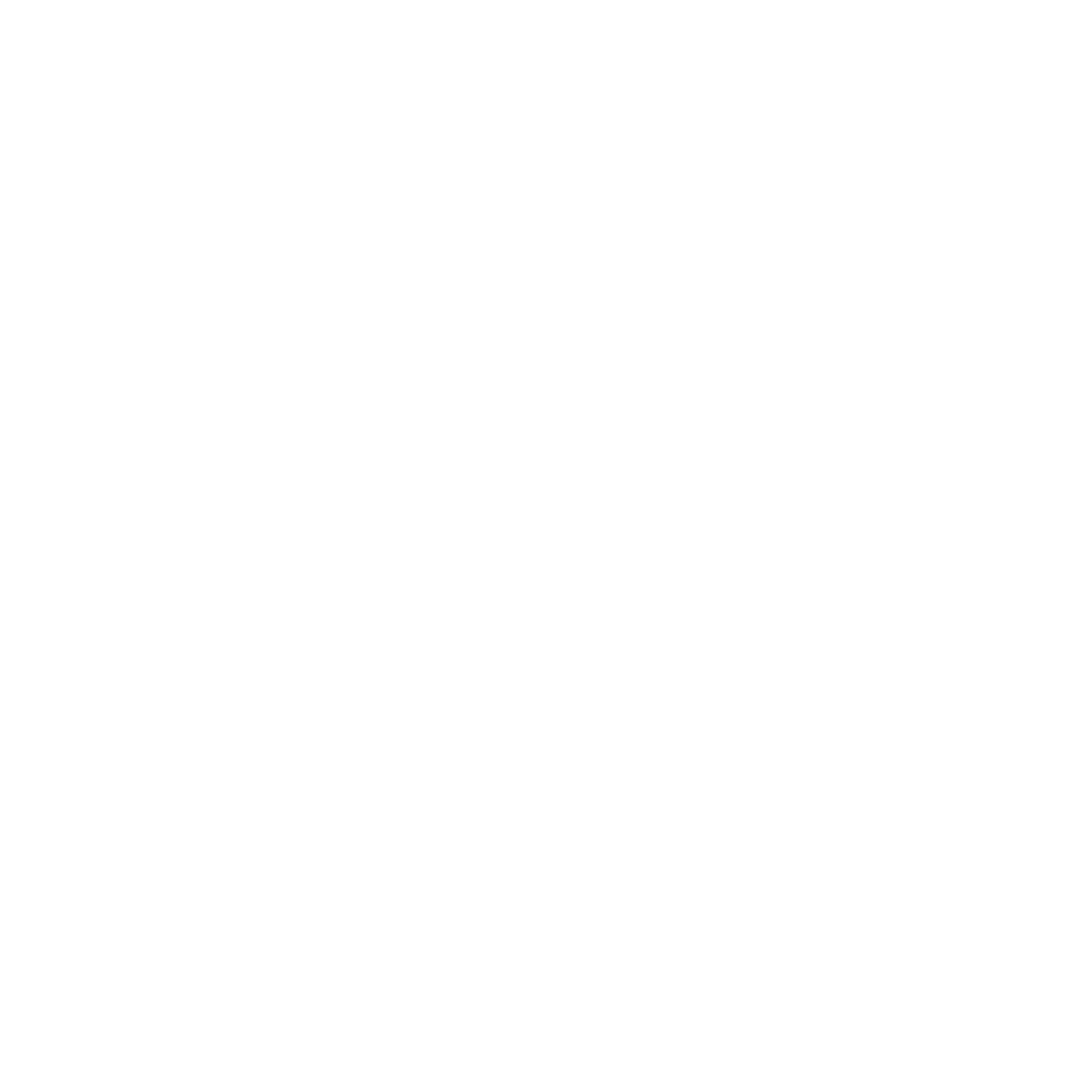 TRIDENT GUNWORKS